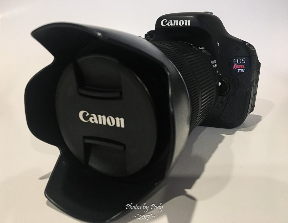 Canon T3i_20170123_002