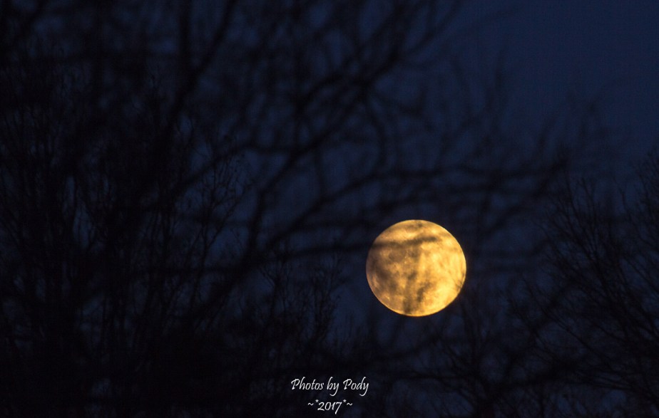 Moon Eclipse_20170210_003