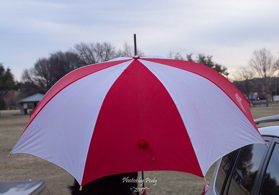 Umbrella_20170217_001