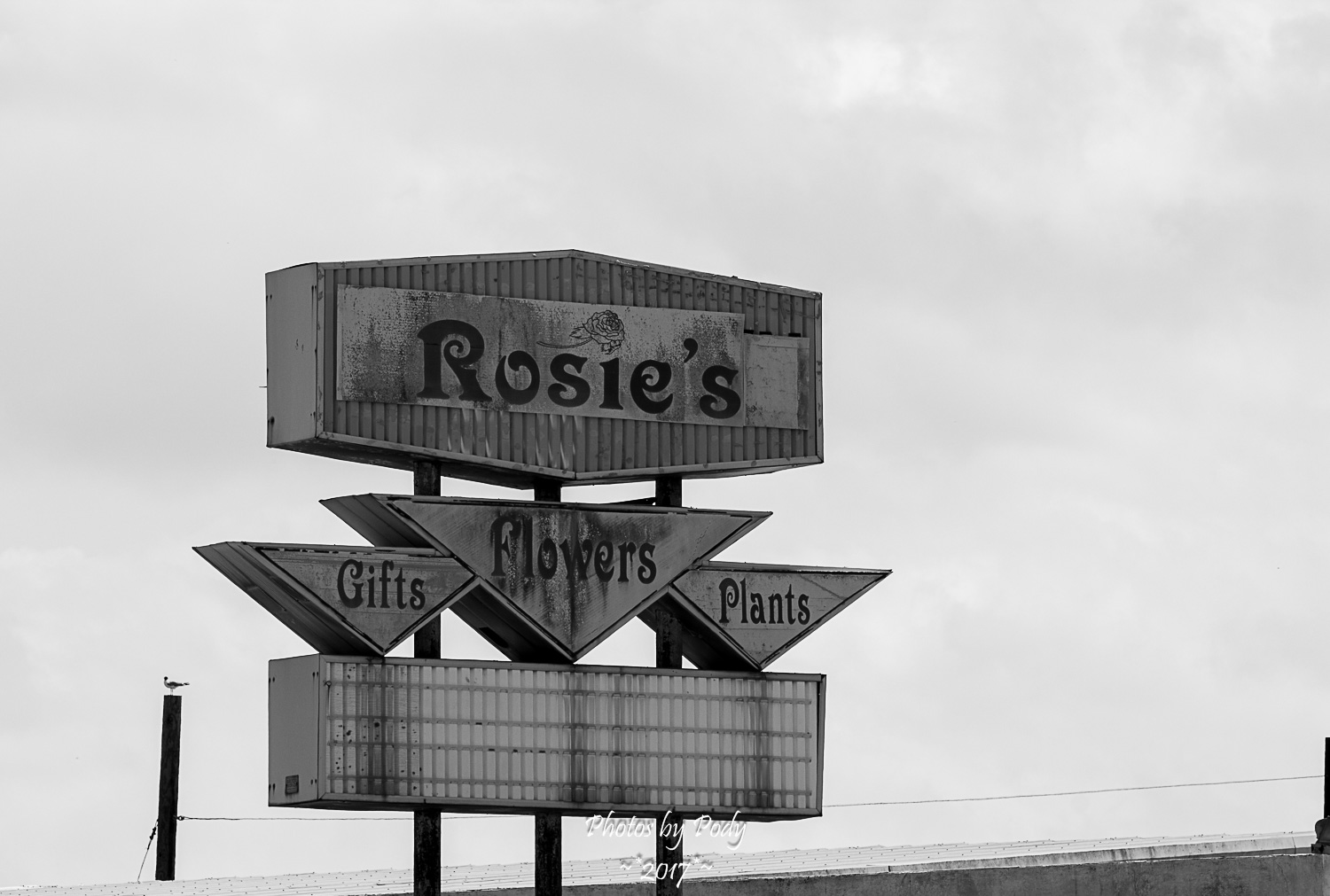 Corpus Christi_20170422_373