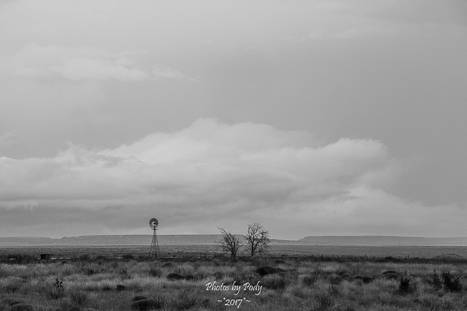 Albuquerque_20150706_004