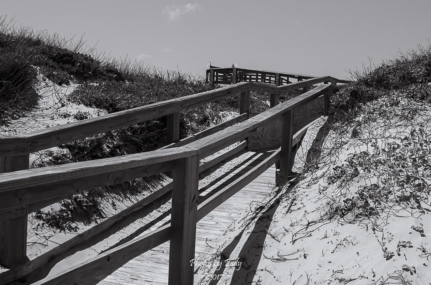 Corpus Christi_20170421_156