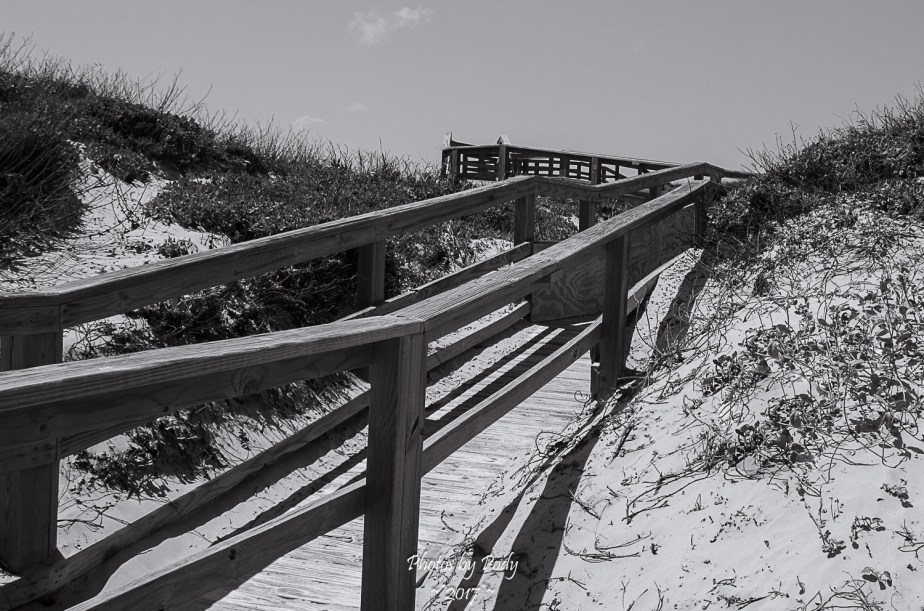 Corpus Christi_20170421_156