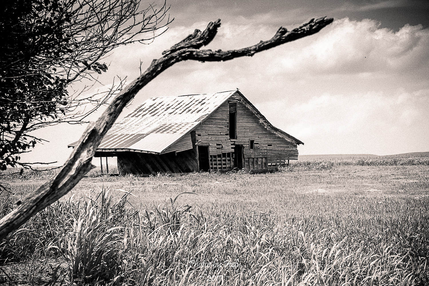 Drummond Ranch_20170527_004