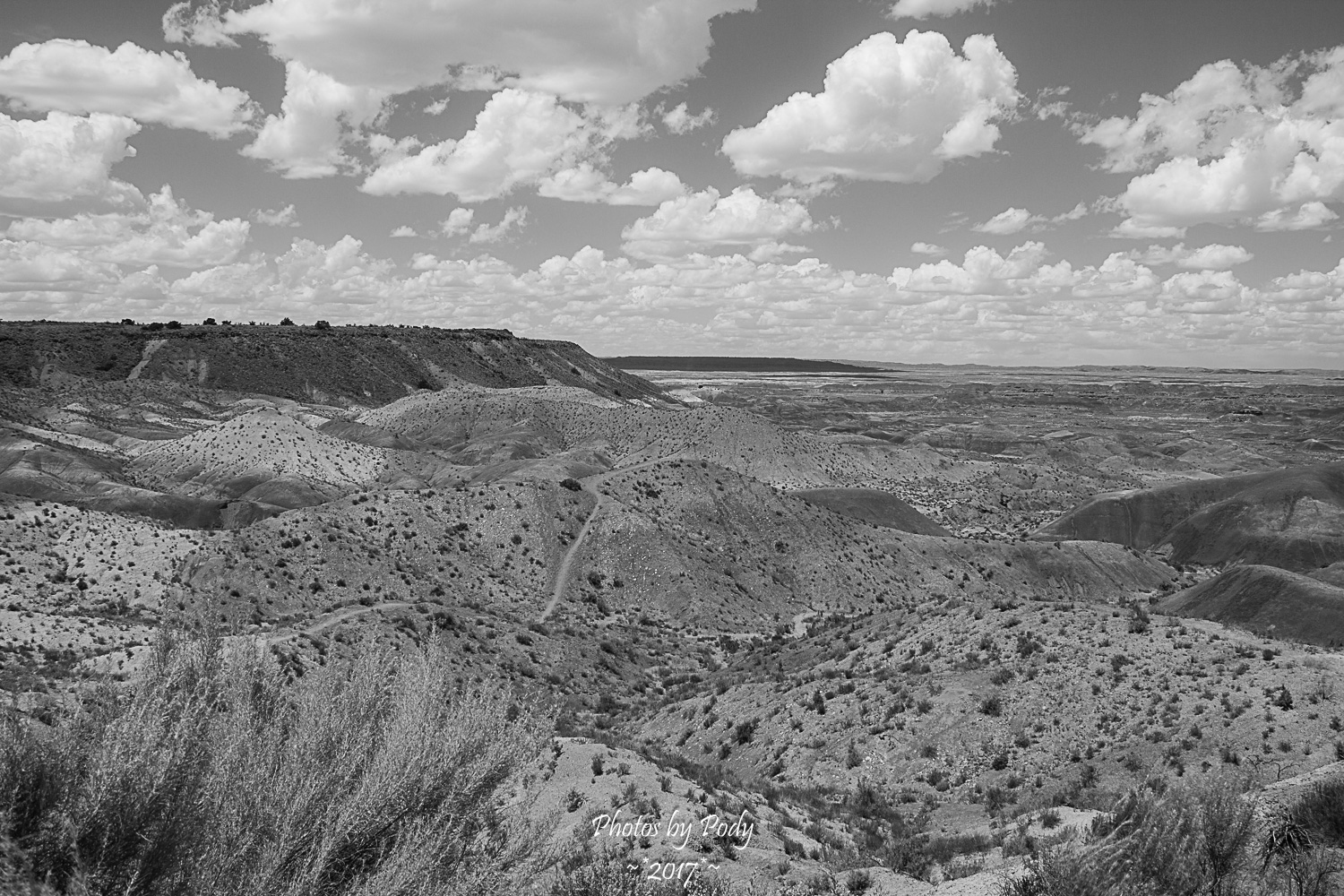 Painted Desert_20150707_001