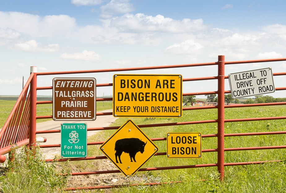 Tallgrass Prairie_20170528_001