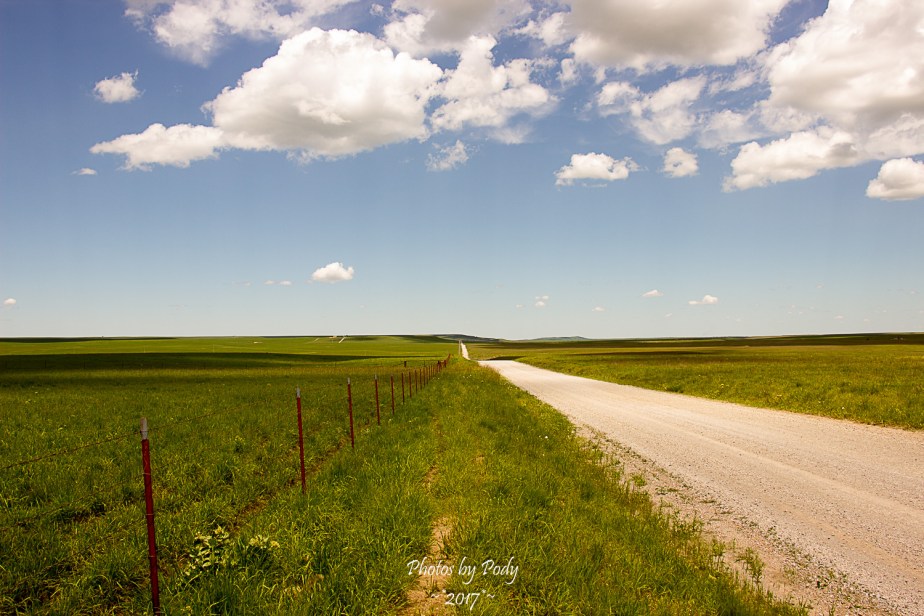 Tallgrass Prairie_20170528_092