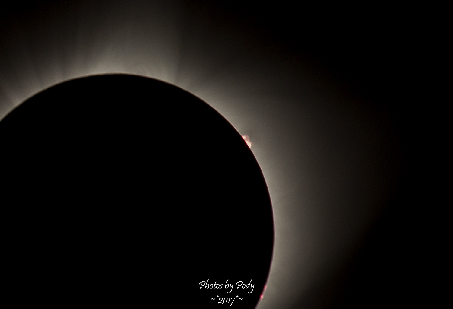Solar Eclipse 2017_20170821_284
