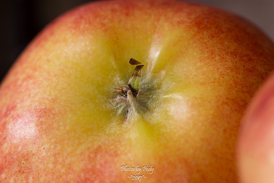 Canon 100mm Macro Fruit Veggies_20171015_018