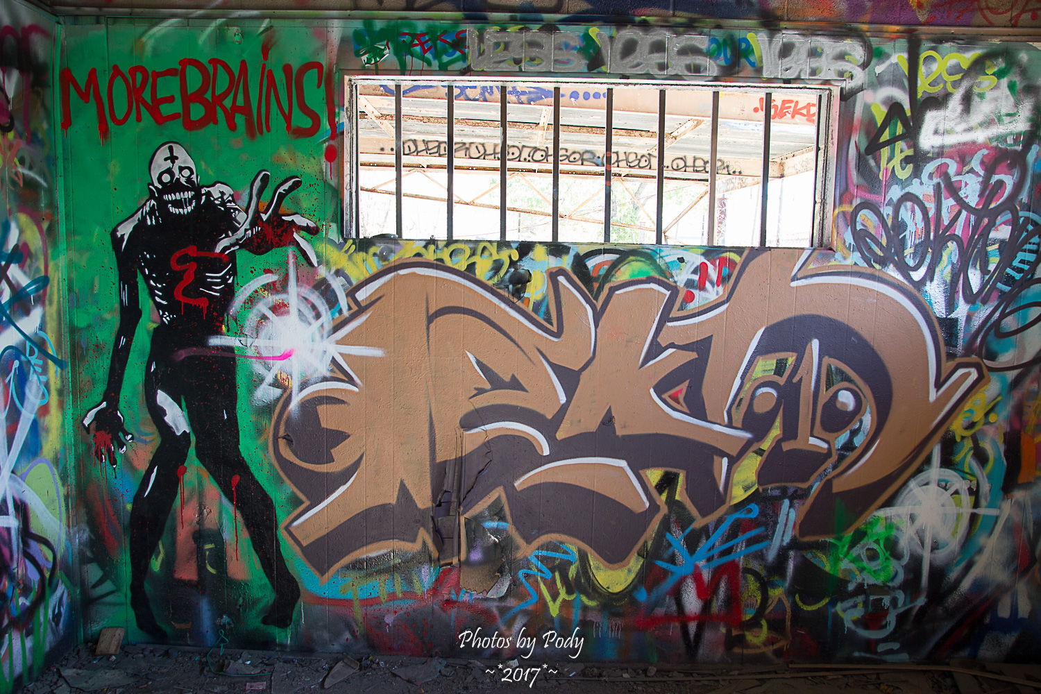 Graffiti Dallas_20171124_011