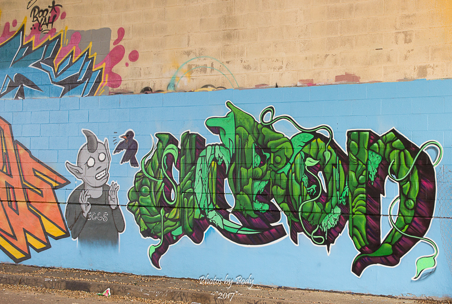 Graffiti Dallas_20171124_023