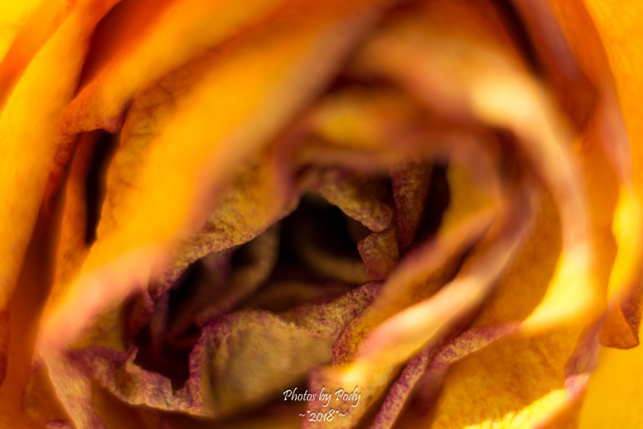 Extension Tube testing_20180123_013