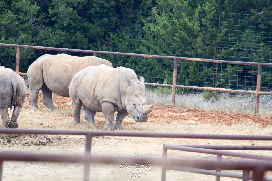 Fossil Rim_20171229_192