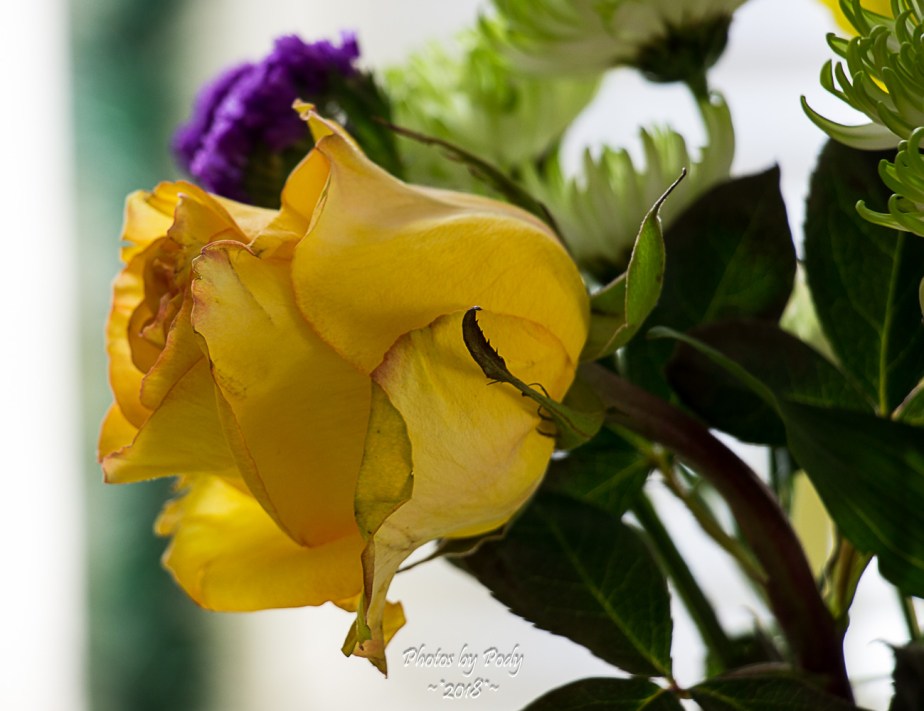 Juanita's Birthday Flowers_20180108_001