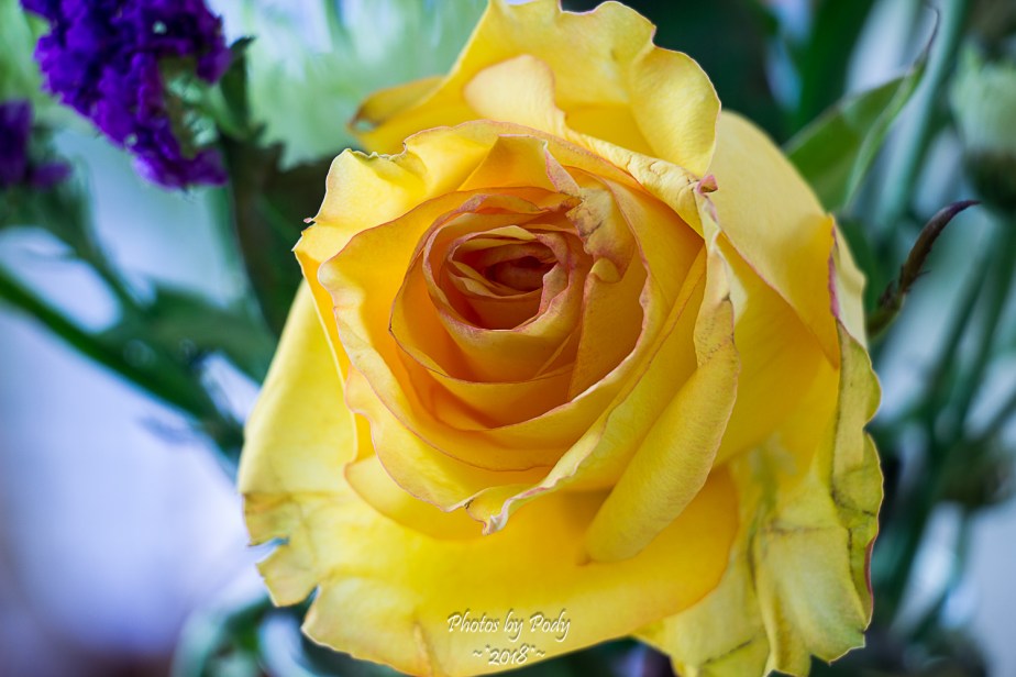 Juanita's Birthday Flowers_20180108_007