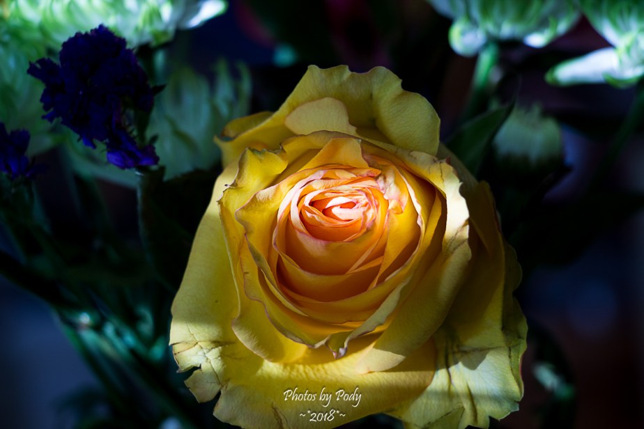 Juanita's Birthday Flowers_20180108_010