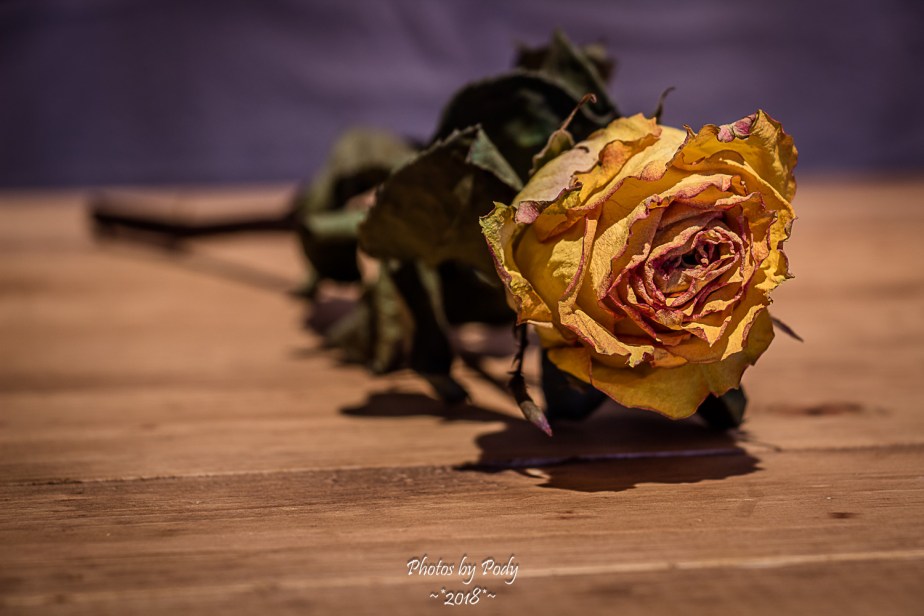 Juanita's Birthday Flowers_20180118_065