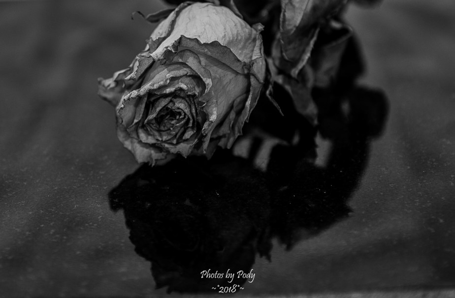 Juanitas Birthday Flowers_20180122_005