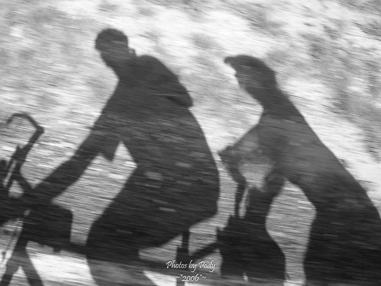 Tour de Muleshoe 2006 26