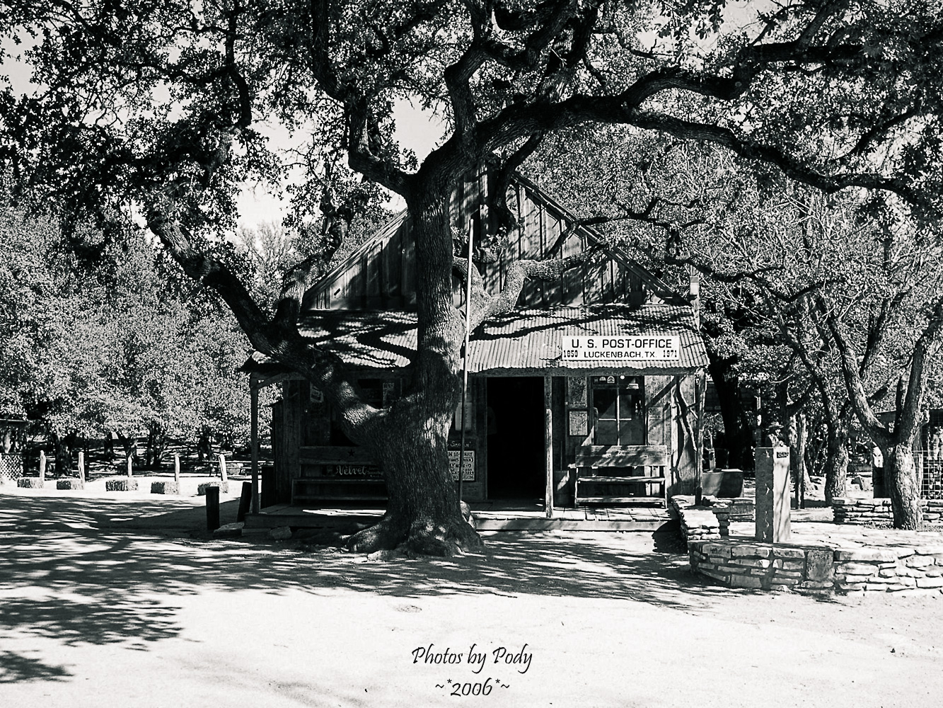 Luckenbach 1117200603