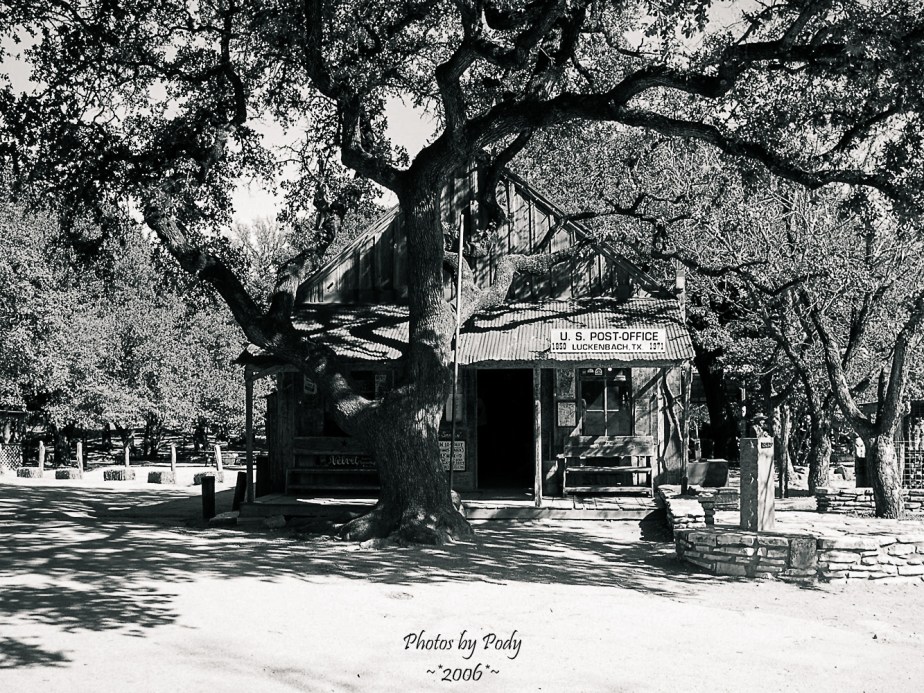 Luckenbach 1117200603