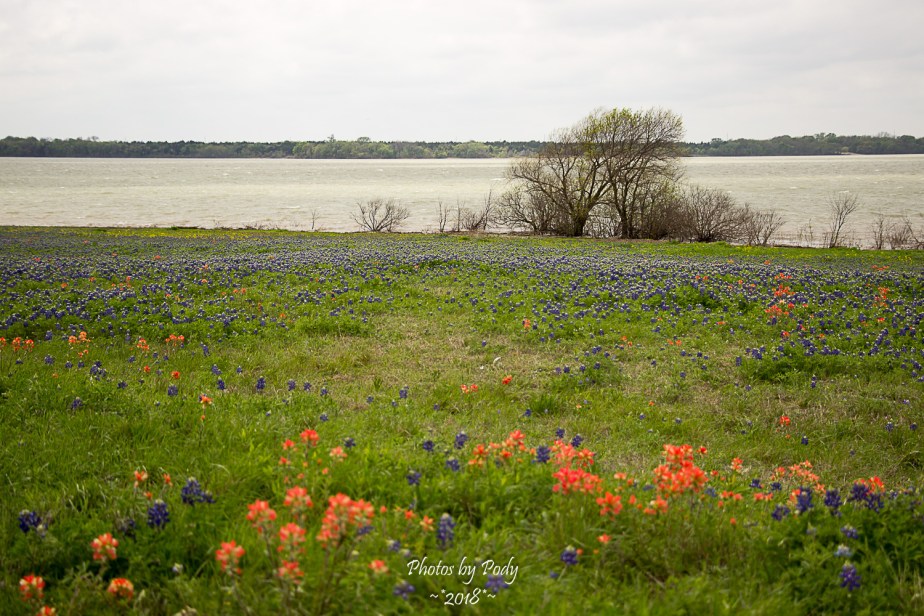 Ennis Trip Spring 2018_20180331_010