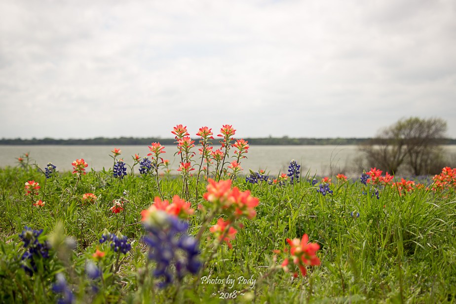 Ennis Trip Spring 2018_20180331_012