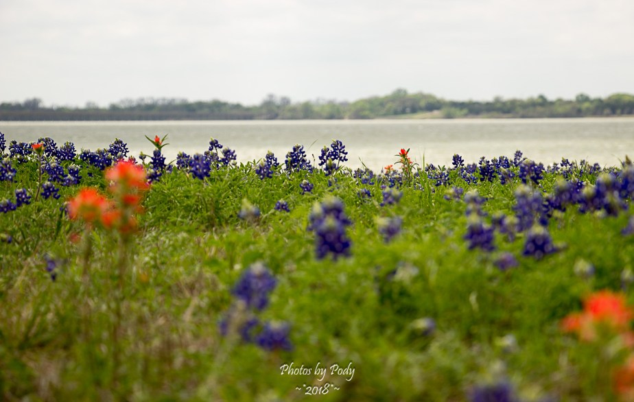 Ennis Trip Spring 2018_20180331_020