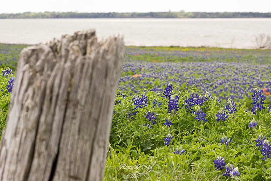 Ennis Trip Spring 2018_20180331_042