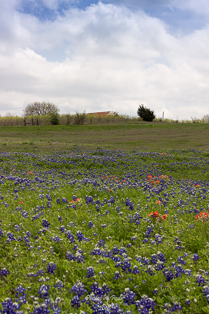 Ennis Trip Spring 2018_20180331_045