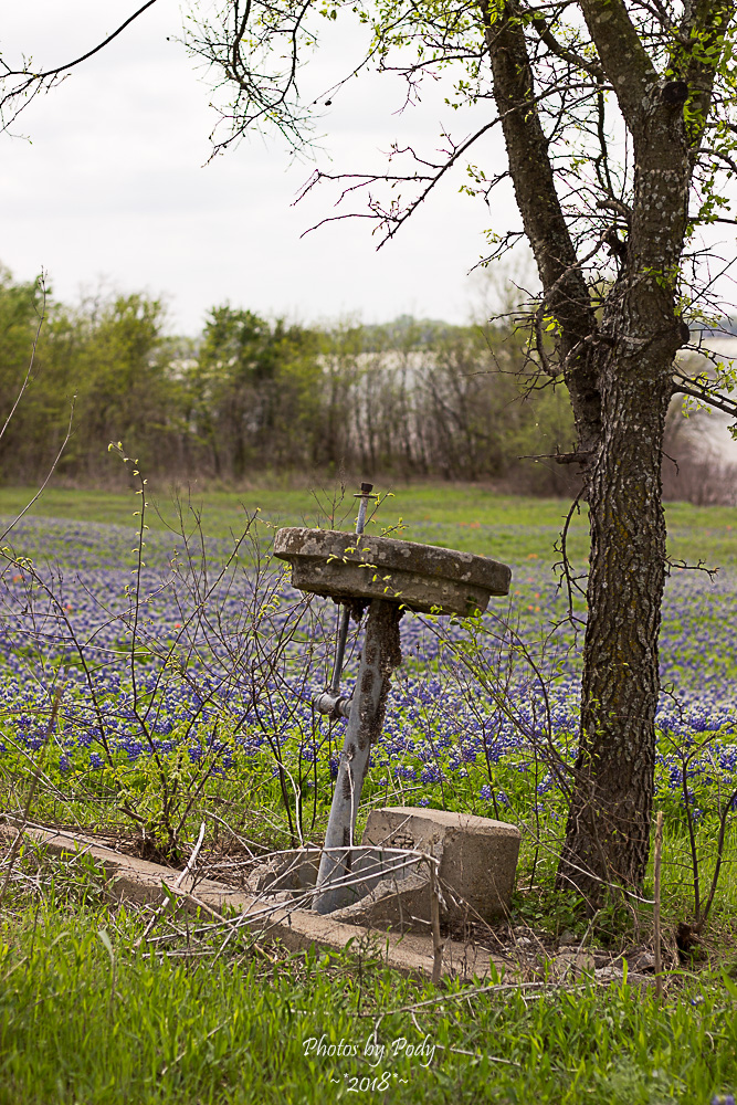 Ennis Trip Spring 2018_20180331_059