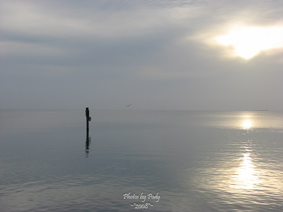 South_Padre_20080707_006