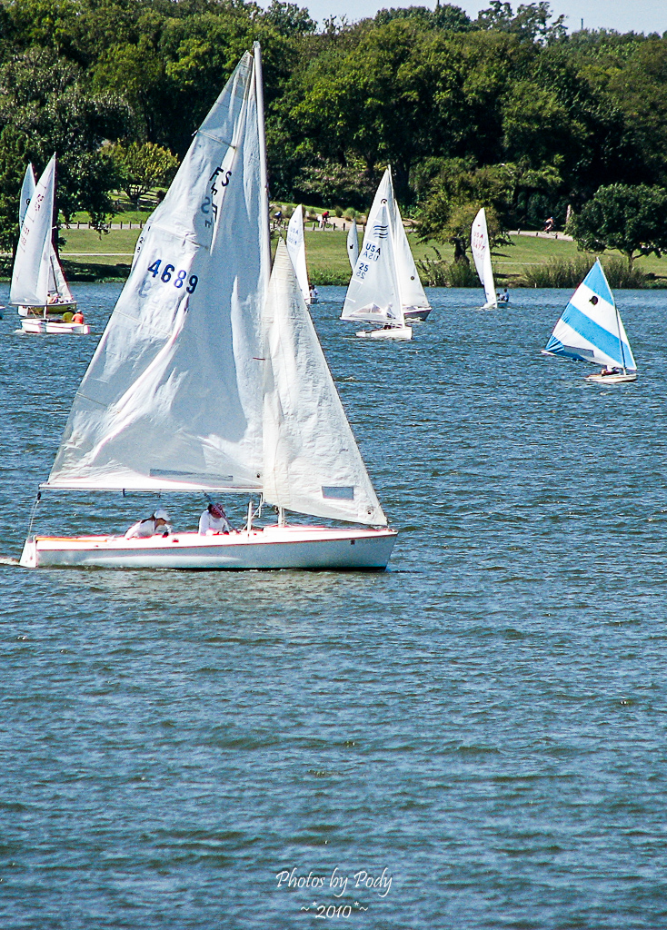 Arbouretum_20101002_177