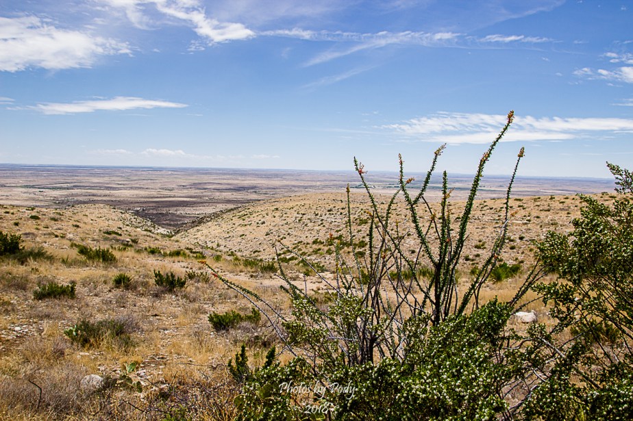 Carlsbad Caverns_20180526_012