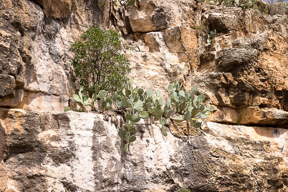 Carlsbad Caverns_20180526_032