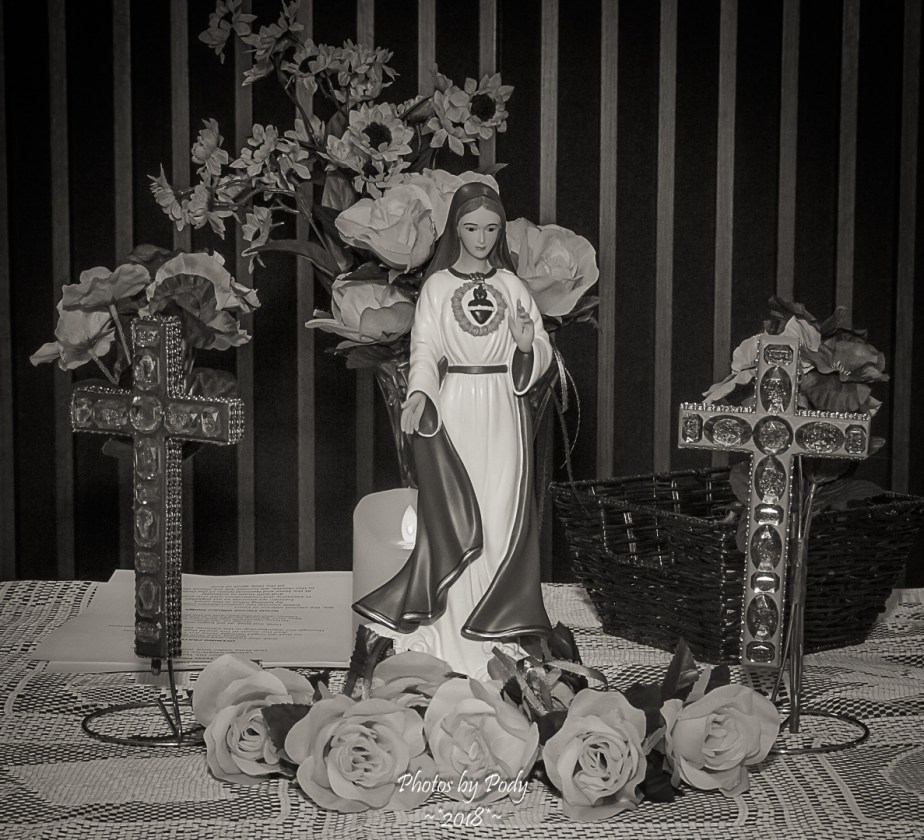 CDA Officer Installation_20180602_077