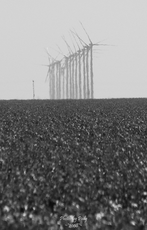 West_Texas_20081103_002