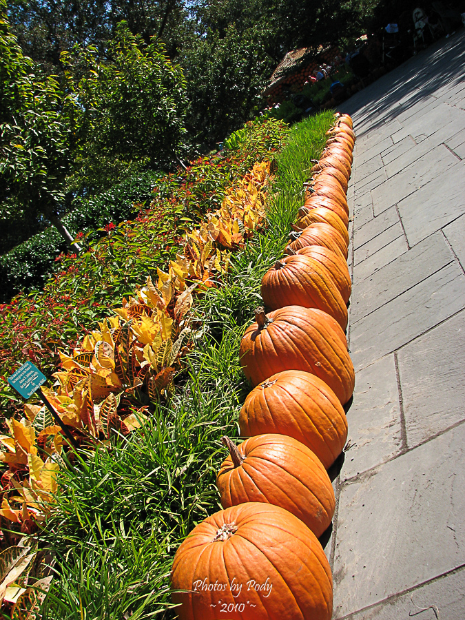 Arbouretum_20101002_044