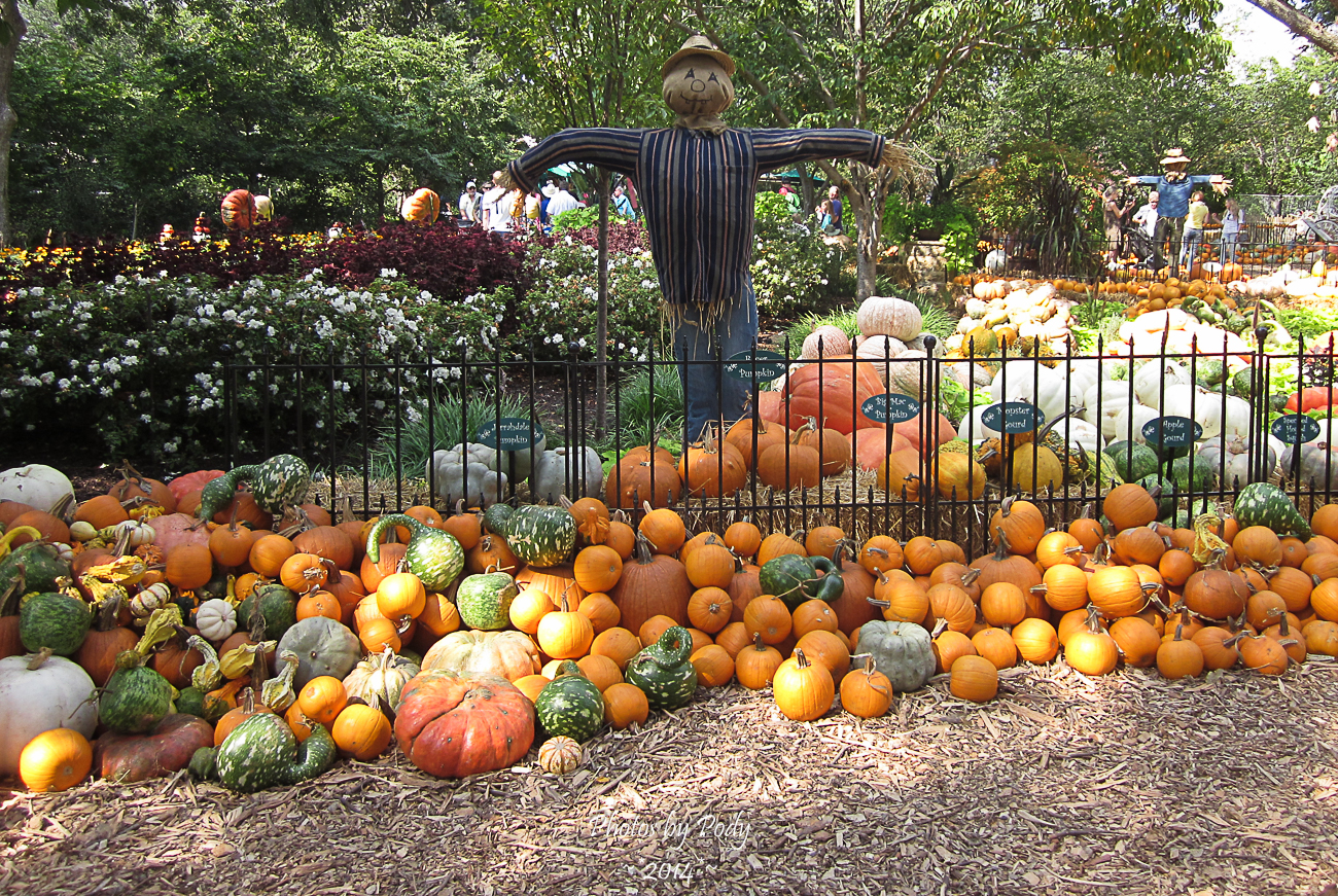Arboretum2_20140927_021
